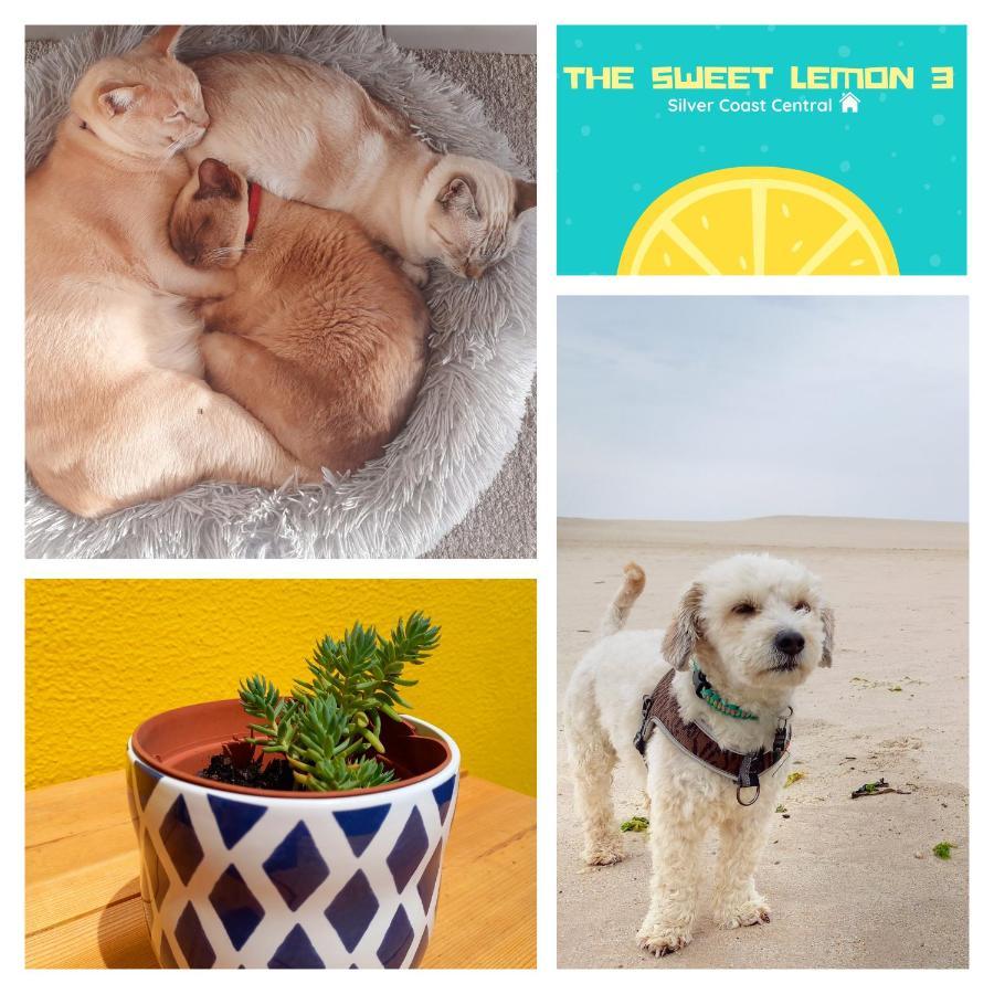 The Sweet Lemon 3 Apartman Bombarral Kültér fotó